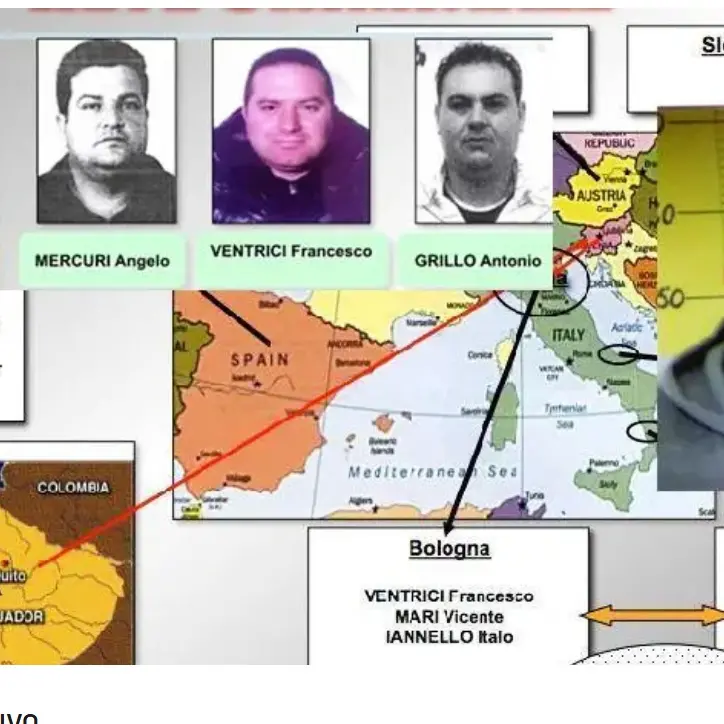 Narcotraffico internazionale: 10 condanne in appello per il clan\u00A0guidato dal broker di San Calogero Franco Ventrici\n