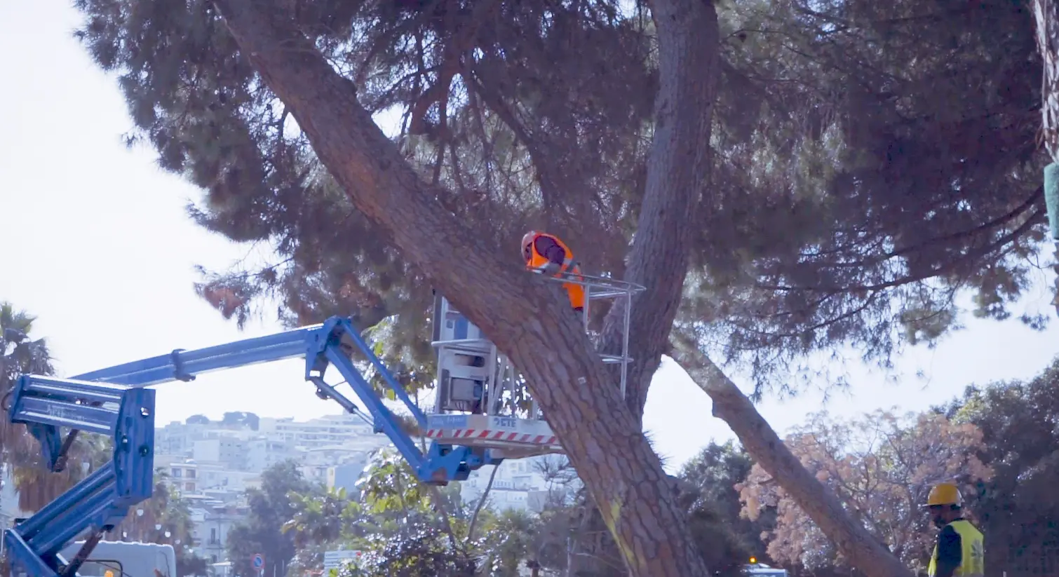 Pineta Zerbi, proseguono i lavori al cantiere del waterfront
