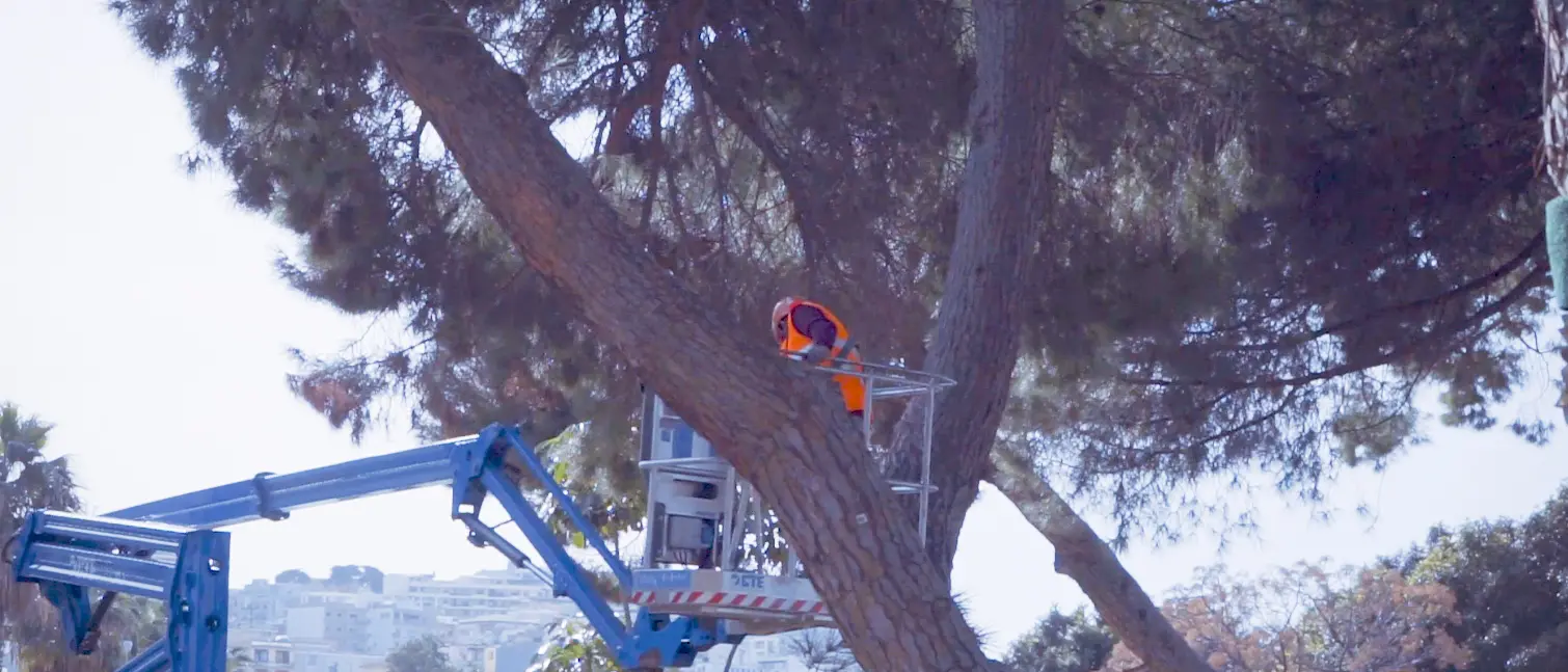 Pineta Zerbi, proseguono i lavori al cantiere del waterfront