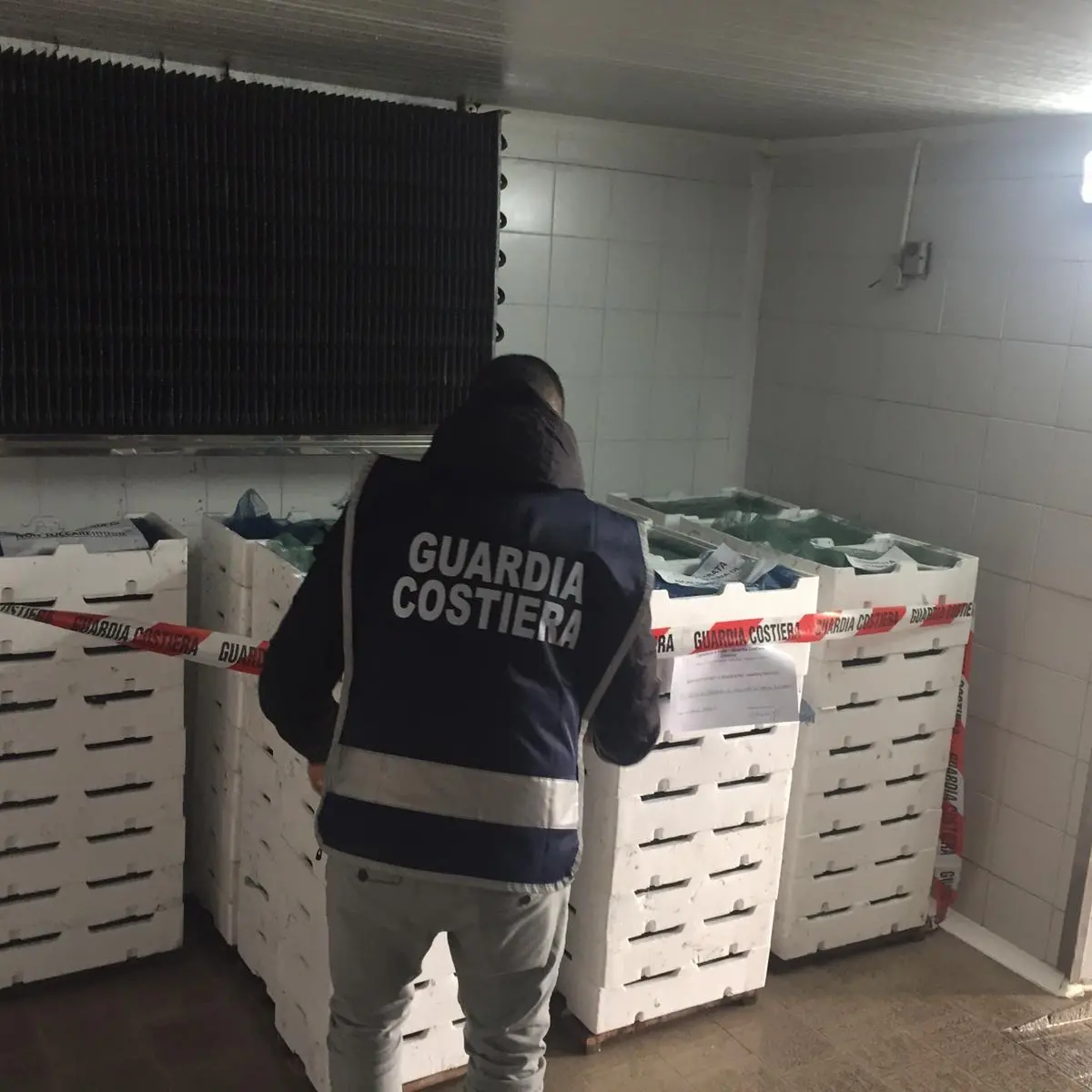 Guardia Costiera, maxi sequestro di bianchetto nel reggino