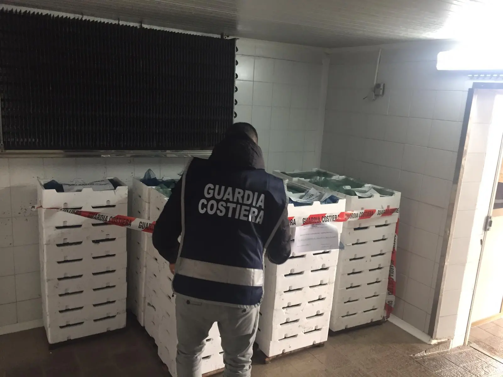 Guardia Costiera, maxi sequestro di bianchetto nel reggino