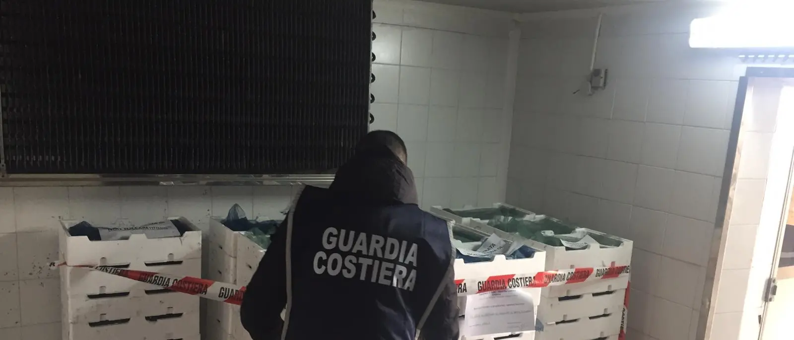 Guardia Costiera, maxi sequestro di bianchetto nel reggino