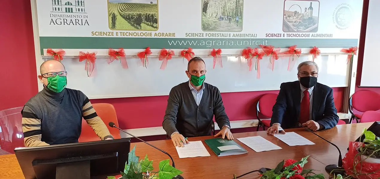 Università Mediterranea, accordo tra Agraria e Accademia delle Imprese