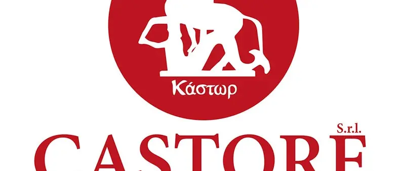 Castore Spa, Giuseppe Gatto è il nuovo Amministratore Unico\n