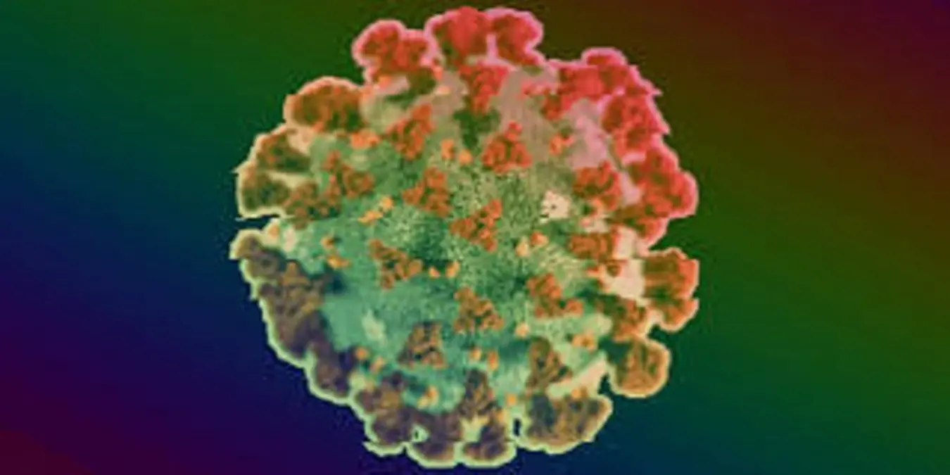 Reggio, l'evoluzione delle malattie contagiose nell'ultimo lavoro di Antonio Pugliese