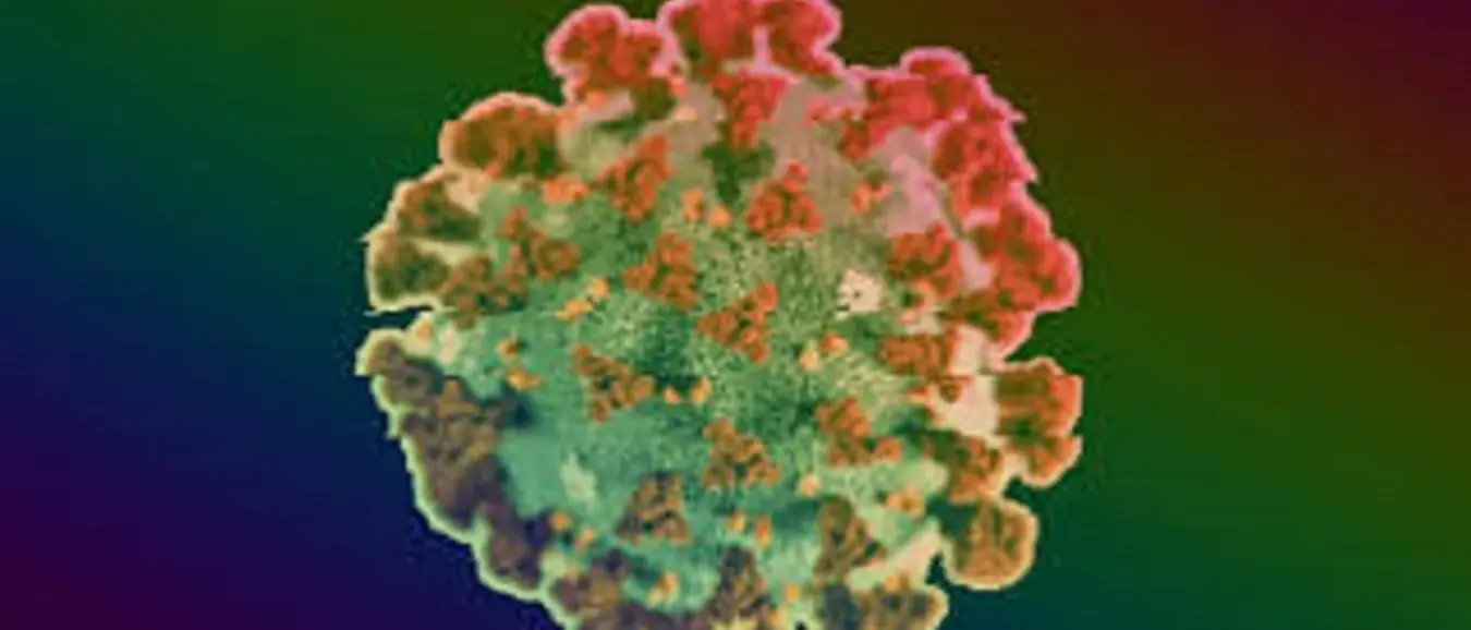 Reggio, l'evoluzione delle malattie contagiose nell'ultimo lavoro di Antonio Pugliese