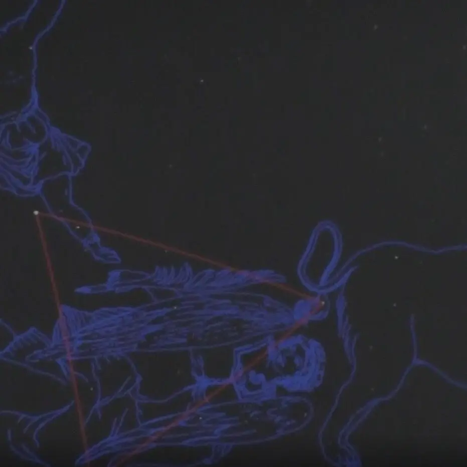 Reggio, tutti con il naso all’insù per ammirare le stelle del triangolo di Primavera - VIDEO