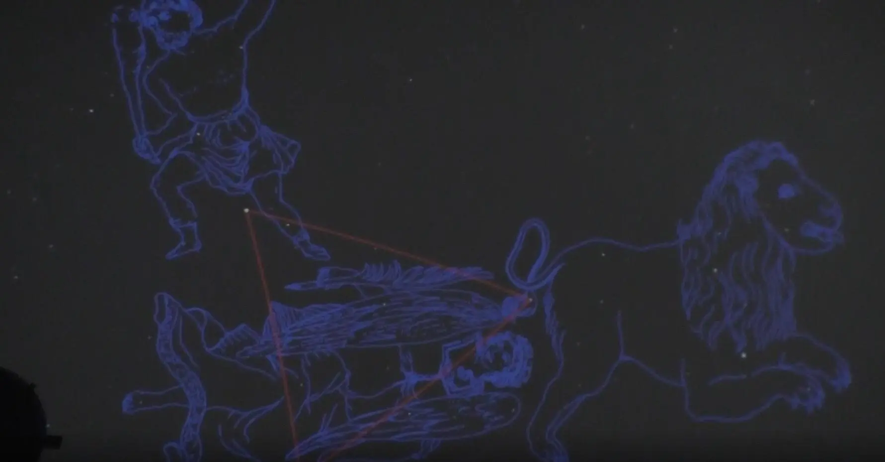 Reggio, tutti con il naso all’insù per ammirare le stelle del triangolo di Primavera - VIDEO