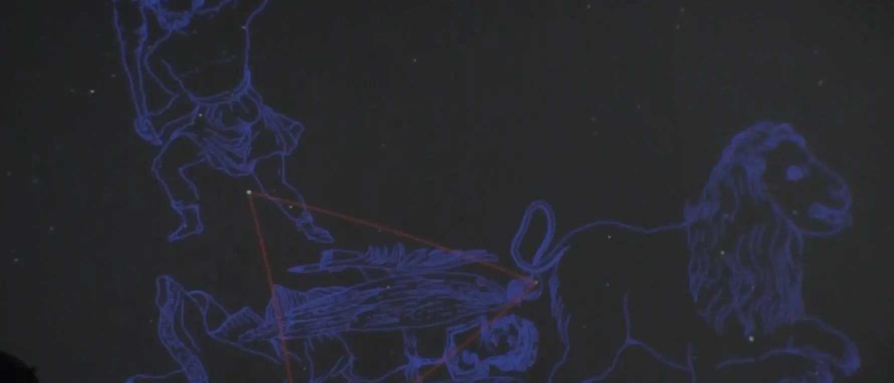 Reggio, tutti con il naso all’insù per ammirare le stelle del triangolo di Primavera - VIDEO