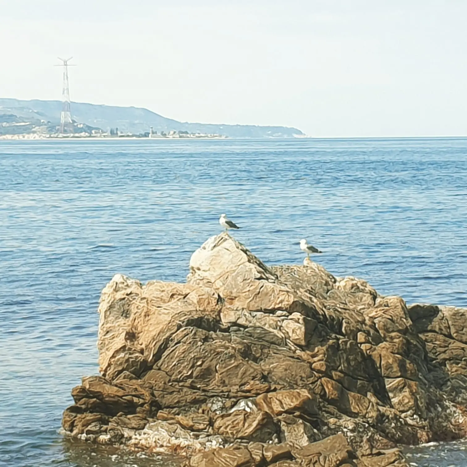 SCILLA IVI ALBERGA