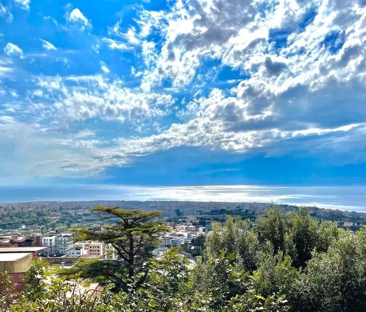‘Ndrangheta, la “casa madre” è la provincia di Reggio Calabria: la mappa con tutti i clan
