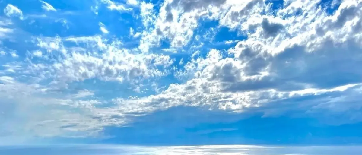 ‘Ndrangheta, la “casa madre” è la provincia di Reggio Calabria: la mappa con tutti i clan