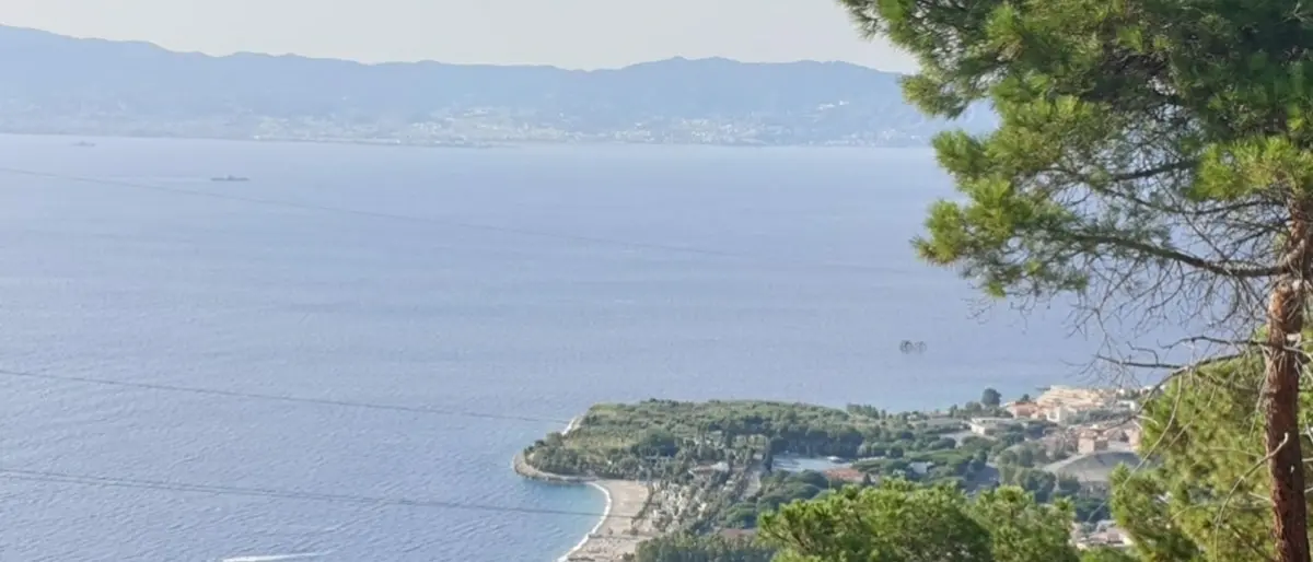 Reggio, Imbalzano: «Il reddito di dignità di Tridico? Una proposta sbagliata ed economicamente improponibile»