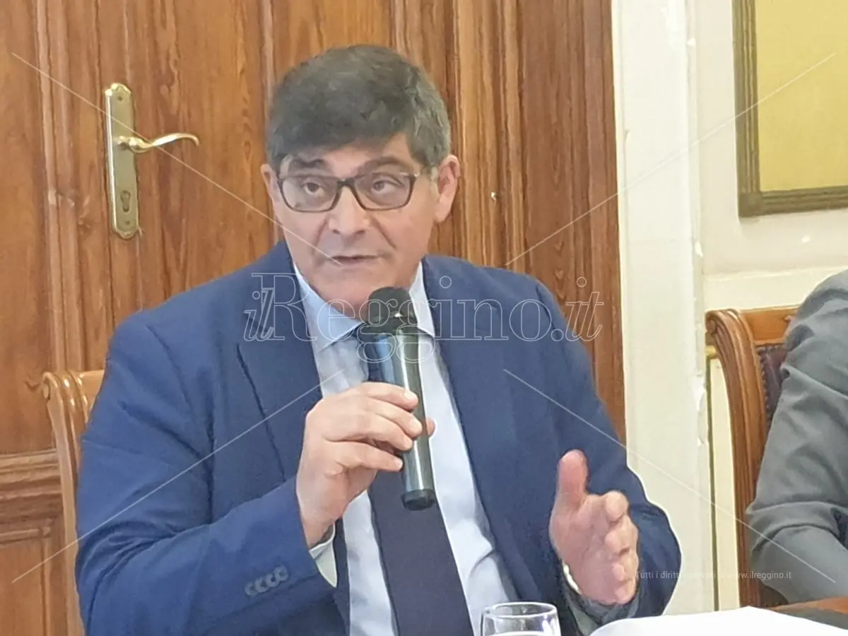 Tir al porto di Reggio, l'Autorità di sistema ha acquisito i pareri: a breve la decisione