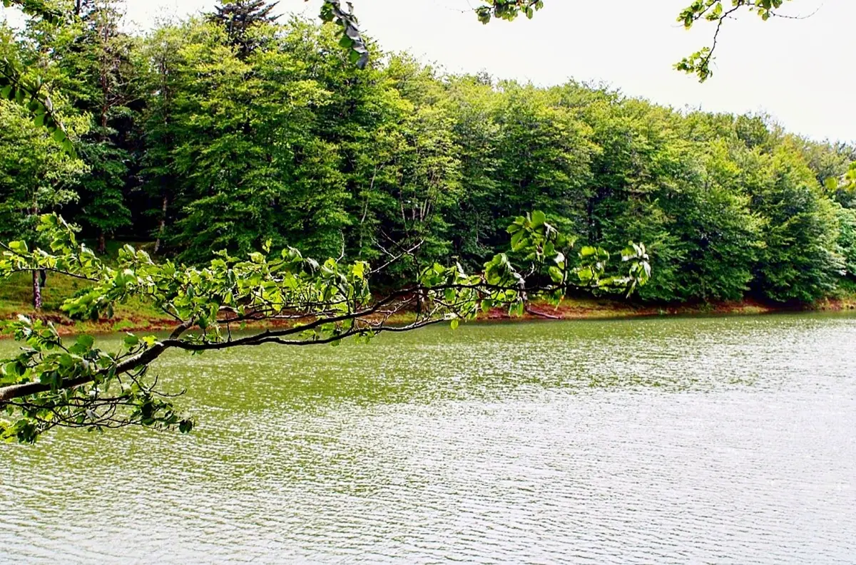 IL SILENZIO DEL LAGO