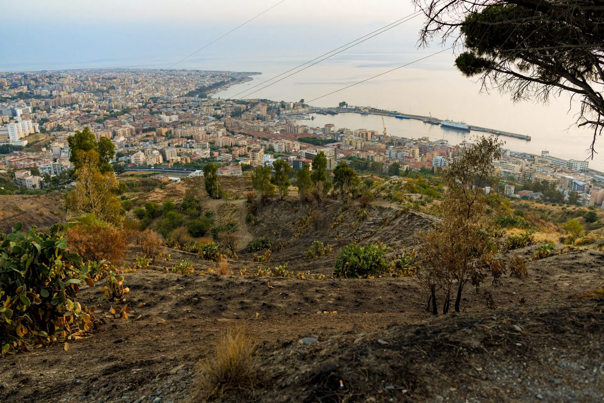Pomeriggio inclusivo al baby luna park di Pentimele, Nucera e Lanucara ringraziano i giostrai