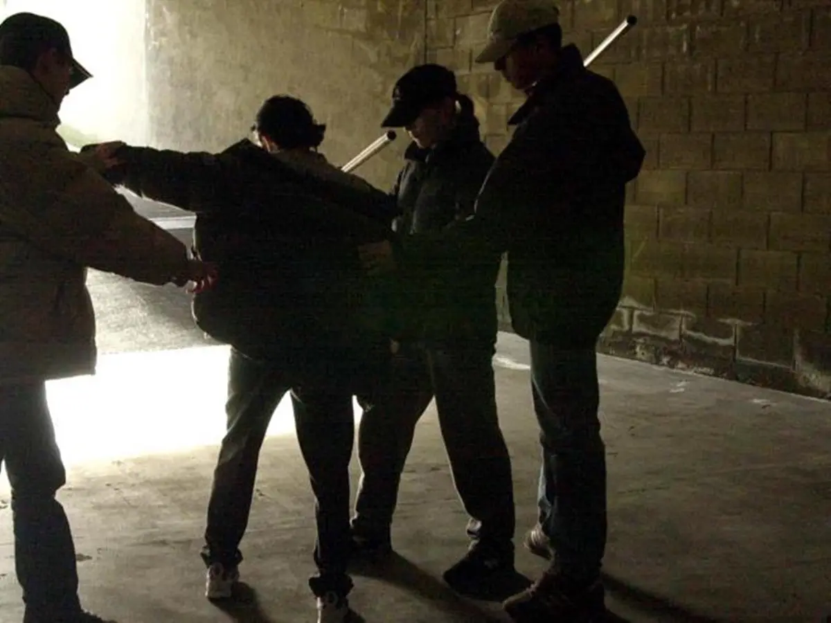 Baby gang, Aldrovandi: «Volontariato obbligatorio per minori e sanzioni per i genitori»