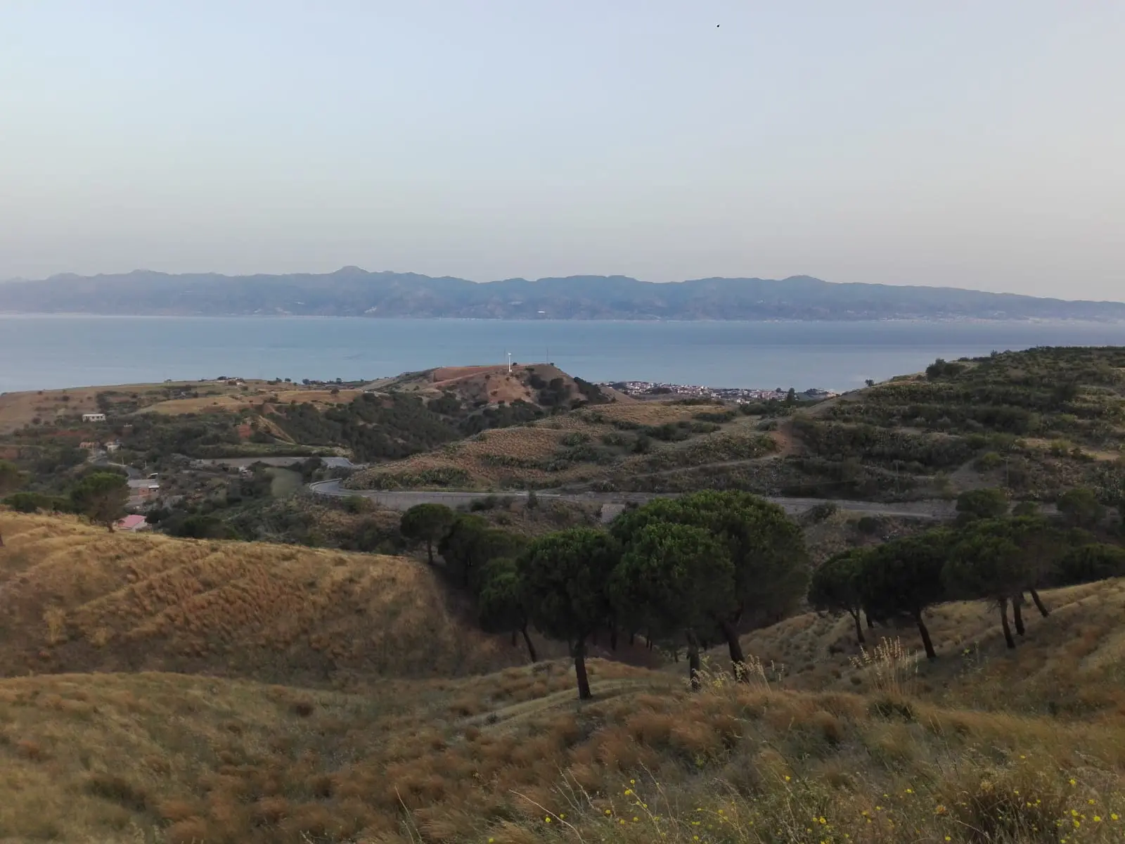 Zone Omogenee Territoriali, Comitato Magna Graecia: «Una nuova visione per la Calabria»