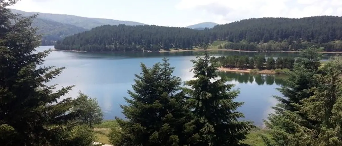 Svolta storica nella gestione dell’acqua in Calabria: stop ai privati, dal 2029 risorse idriche sotto controllo pubblico\n