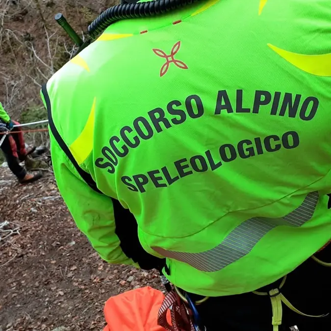 Gambarie, ritrovato il fungaiolo disperso: sta bene