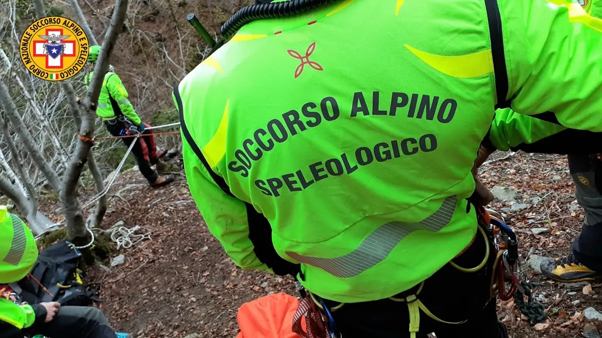 Gambarie, ritrovato il fungaiolo disperso: sta bene