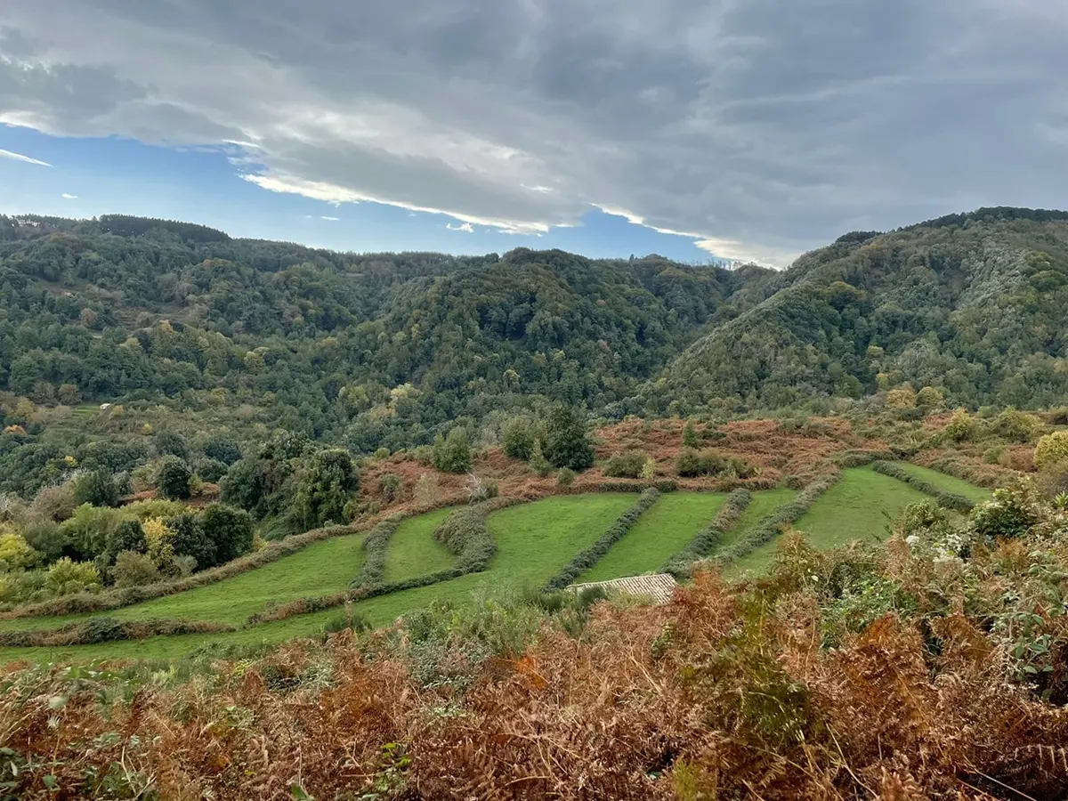 MONTAGNE VERDI