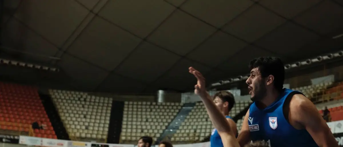 Viola, il punto sulla corsa playoff: calendario e possibilità