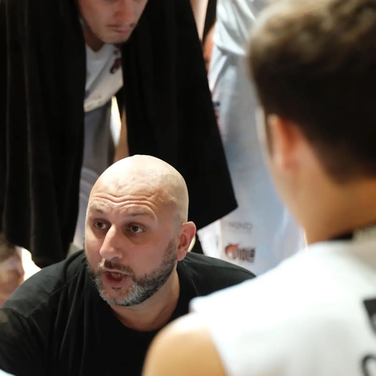 Viola Basket, c’è l’ufficialità: Bolignano ancora coach