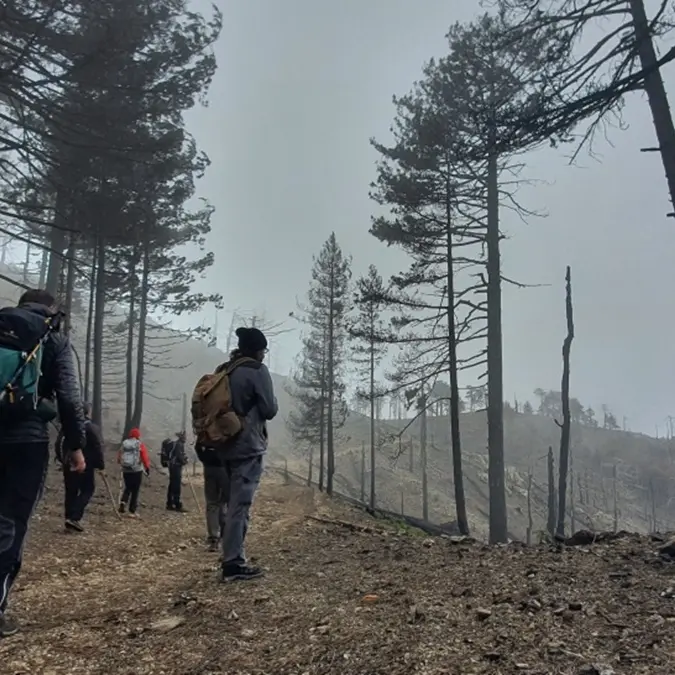 Nasce il manifesto dell’osservatorio antincendi in Aspromonte: una rete civica per difendere il territorio dalle fiamme