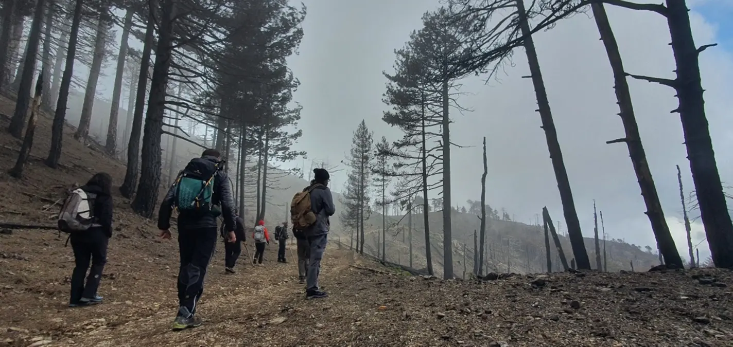 Nasce il manifesto dell’osservatorio antincendi in Aspromonte: una rete civica per difendere il territorio dalle fiamme