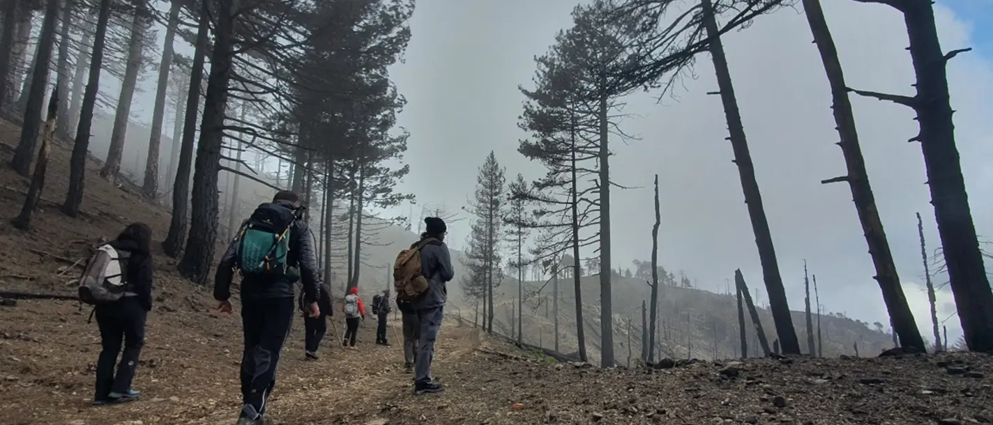 Nasce il manifesto dell’osservatorio antincendi in Aspromonte: una rete civica per difendere il territorio dalle fiamme
