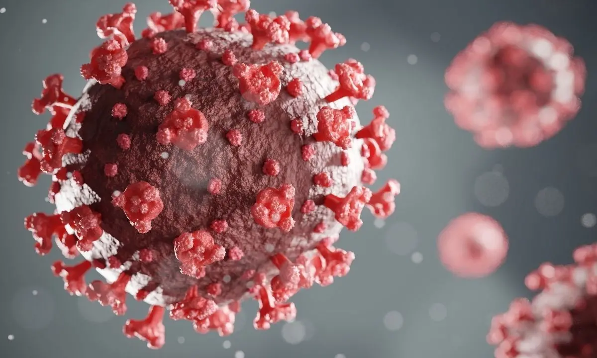 Coronavirus a Reggio, 119 i nuovi casi positivi