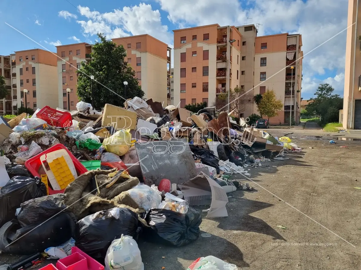 Caro Tari, Reggio è la Città metropolitana dove le famiglie spendono di più