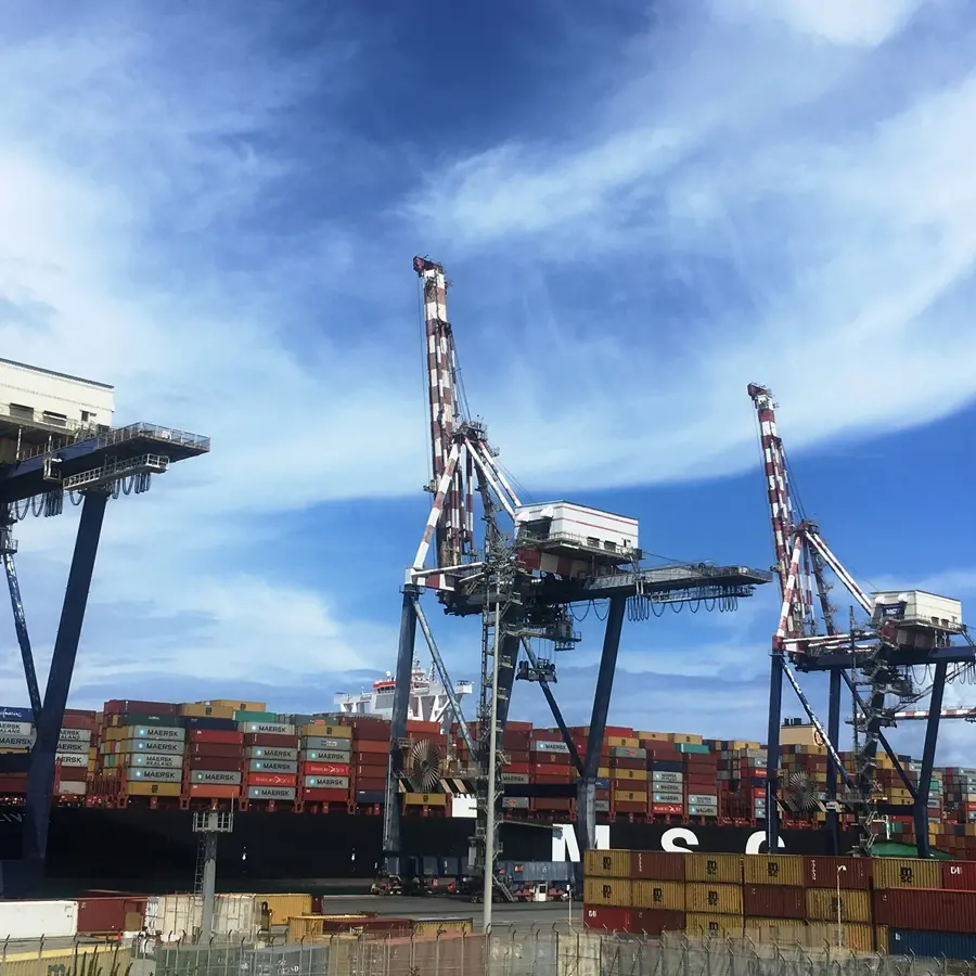 Infrastrutture, il sottosegretario Ferrante: «140 milioni in più per il Sud». Risorse anche per Gioia Tauro