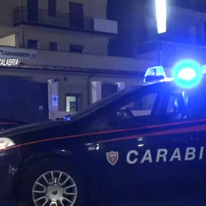 Gioia Tauro, colpo alla cosca Piromalli-Molè: 49 arresti e sequestri per 1 milione di euro I NOMI - VIDEO
