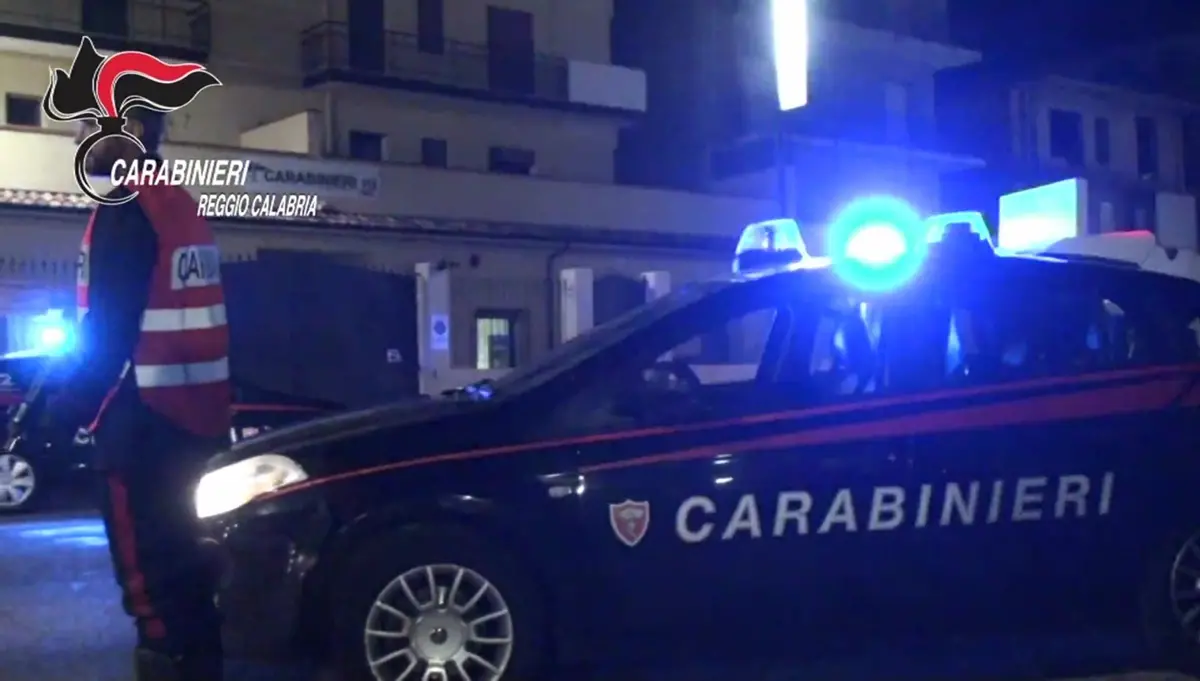 Gioia Tauro, colpo alla cosca Piromalli-Molè: 49 arresti e sequestri per 1 milione di euro I NOMI - VIDEO