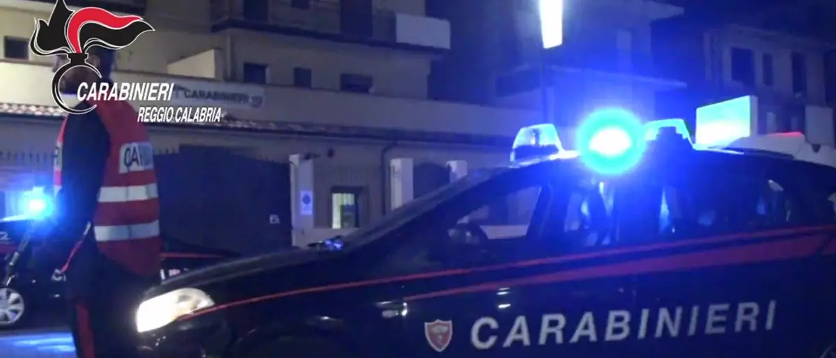 Gioia Tauro, colpo alla cosca Piromalli-Molè: 49 arresti e sequestri per 1 milione di euro I NOMI - VIDEO