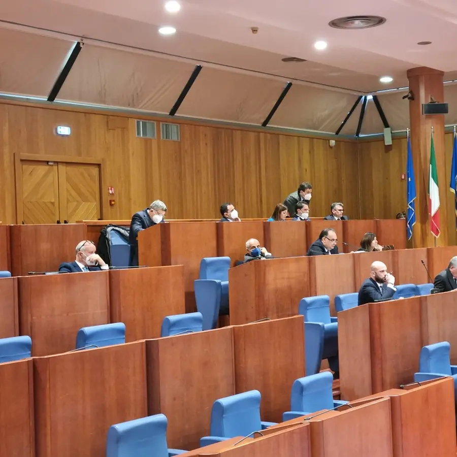 Sanità, Straface (FI): «Soddisfatta per l’approvazione della legge sui Lea»