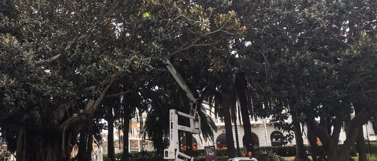 Reggio, ancora ritardi nei pagamenti dei dipendenti Castore: la denuncia del Sul