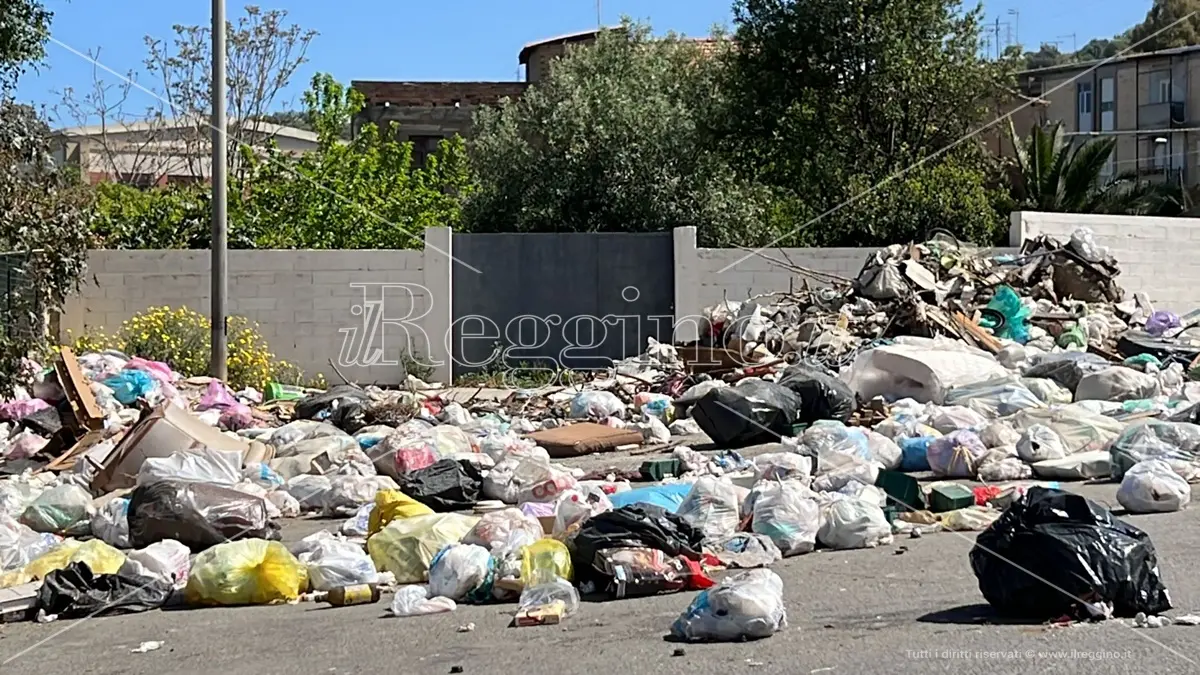Rifiuti, a Reggio le tasse più alte della Calabria