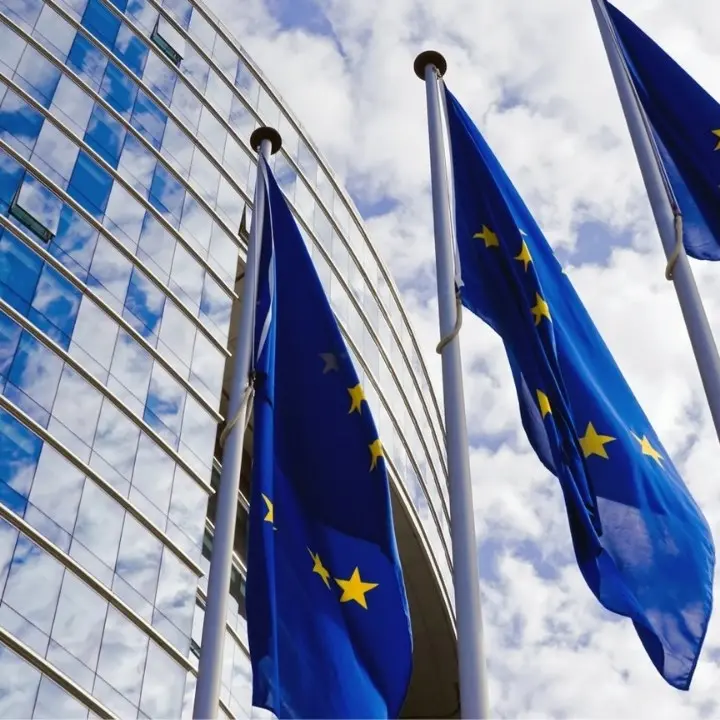 Kiwanis \"Città degli Enotri\", esperienza a Bruxelles per 8 giovani calabresi