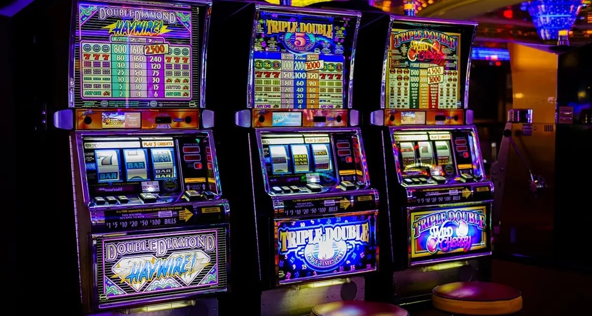 Vibo, controlli in un bar da parte della polizia locale: sequestrate due slot machine, multa di 20mila euro\n