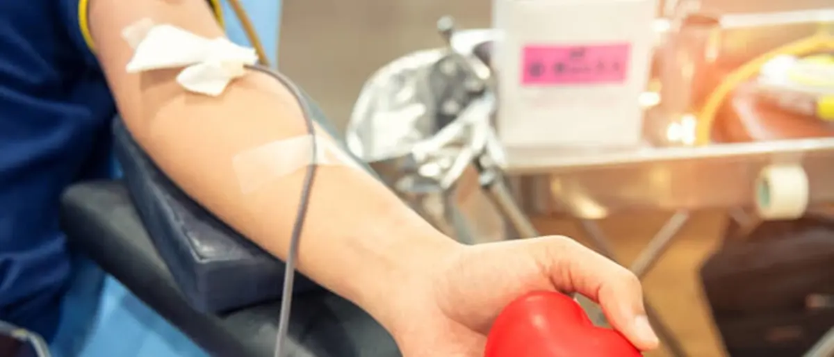 Reggio Calabria, aumentano i sì alla donazione degli organi