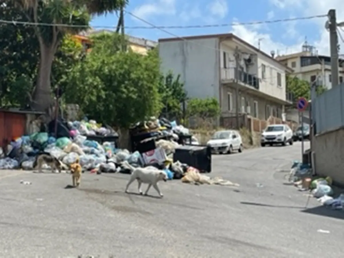 Reggio, spazzatura per strada a Sala di Mosorrofa: il Comitato di quartiere scrive all'Amministrazione comunale