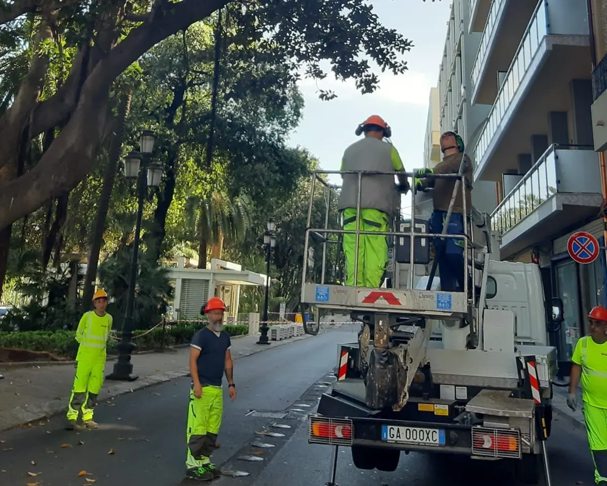Reggio, procedono i lavori di potatura degli alberi di corso Vittorio Emanuele