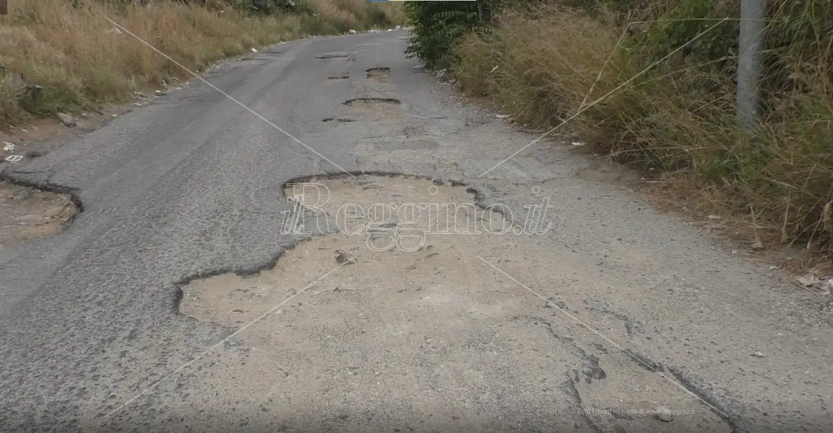 Strade dissestate, Codacons Reggio: «La Città Metropolitana intervenga per ridurre disagi e danni»