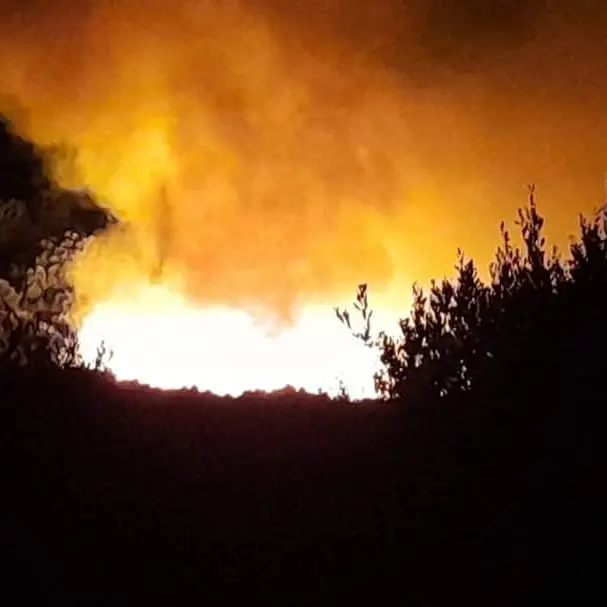 In Calabria incendi diminuiti del 79%, Occhiuto: «Risultati incoraggianti»