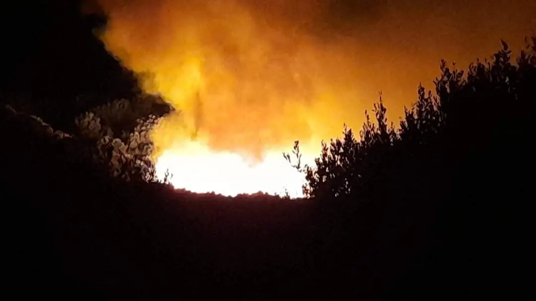 Piano regionale antincendi, Europa Verde: «Rilevare carenze su personale e mezzi»