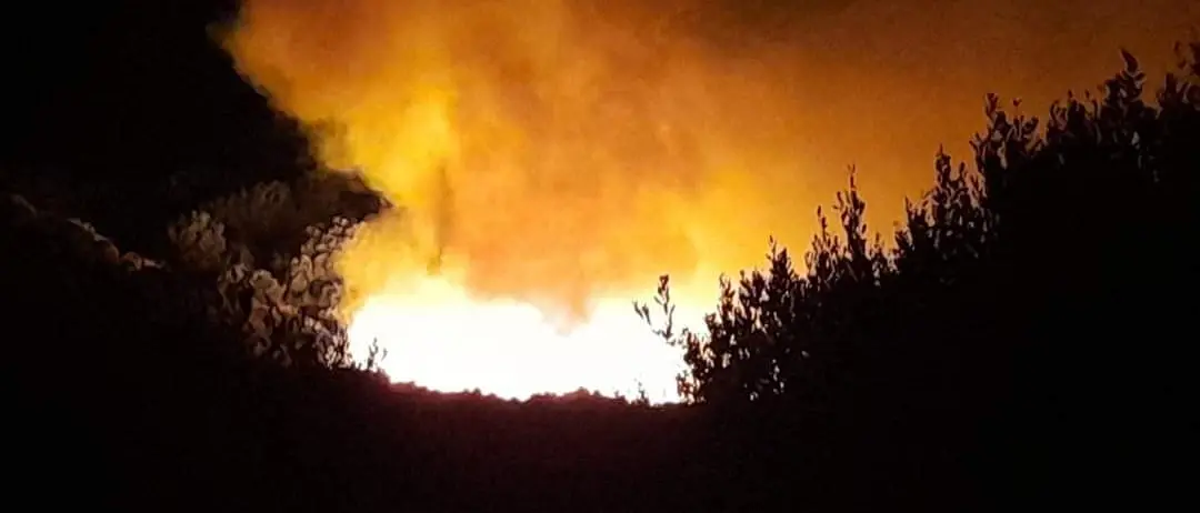 In Calabria incendi diminuiti del 79%, Occhiuto: «Risultati incoraggianti»