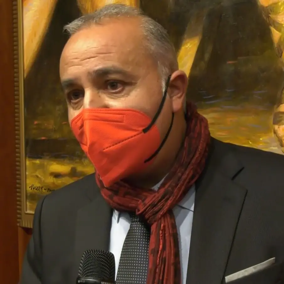 Bilancio Regione Calabria, Mammoliti: «Manovra troppo timida»